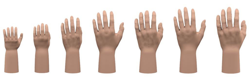 silikonowe rękawice protetyczne o różnych rozmiarach